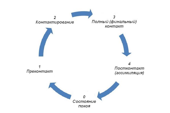 Схема полного цикла контакта при гештальт-терапии