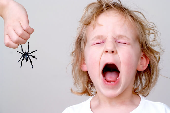 Ребёнок боится паука