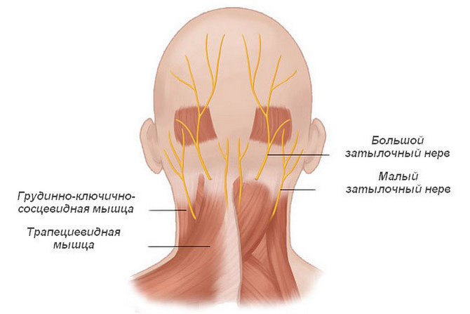 Симптомы при синдроме затылочного нерва