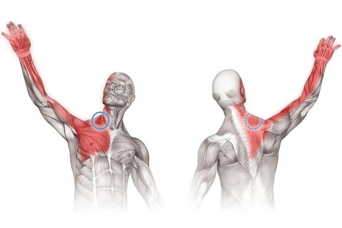 Разрыв нерва плечевого сустава thumbnail